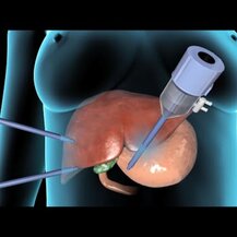 Eclectic Herb, Organic Liver & Gallbladder Support Whole Food Powder