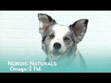 Nordic Naturals, Omega-3 Pet Soft Gels For Dogs, Омега 3, 90 к...