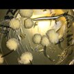 Відео огляд на Kolorex, Gut Care Candida Balance, Підтримка Кандиди, 60 капсул