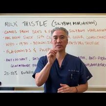 Vimergy, Organic Milk Thistle 20:1