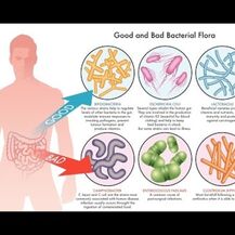 Пробиотики, Mood Probiotic Stress Management Support, 60 капсул