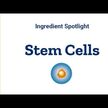 Відео огляд на Geroprotect Stem Cell Livinol Kokum, Гарцінол Кокума, 60 капсул