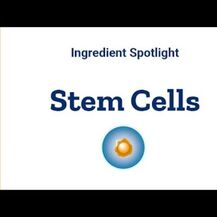 Geroprotect Stem Cell Livinol Kokum, Гарцінол Кокума, 60 капсул