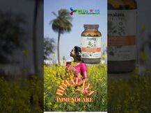 Himalaya, Поддержка иммунитета, ImmunoCare, 240 капсул