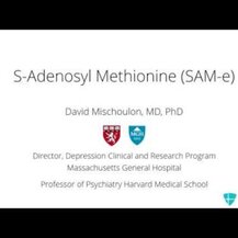 NutraLife, The Original SAM-e 400 mg