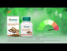 Himalaya, Ашваганда, Ashwagandha + Focus, 60 капсул