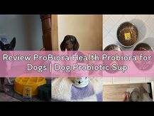 Dental Probiotics Hint of, Средства по уходу за полостью рта, ...