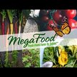 Відео огляд на MegaFood, Zinc Promotes Immune Health, Цинк, 60 таблеток