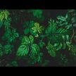Відео огляд на Gaia Herbs, Echinacea Goldenseal, Ехінацея та Жовтокорінь, 60 кап