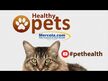 Відео огляд на Healthy Pets Whole Food Digestive Probiotic For Cats &, Пробі
