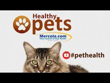 Healthy Pets Whole Food Digestive Probiotic For Cats &, Пр...