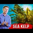 Видео обзор на Dr. Berg, Ламинария, Sea Kelp Enhanced Iodine, 90 капсул
