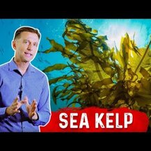 Dr. Berg, Ламинария, Sea Kelp Enhanced Iodine, 90 капсул