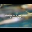 Відео огляд на Pure Encapsulations, O.N.E. Omega, Омега-3 1000 мг, 60 капсул