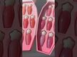 Видео обзор на Dasique, Тинт для губ, Pure Water Lip Gloss 01 Coral Juice, 2.6 г