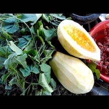 Country Life, Natural Tropical Papaya, Ферменти Папайї, 500 та...