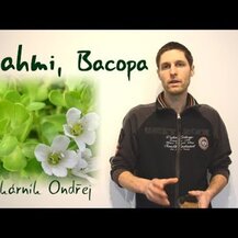 Paradise Herbs, Bacopa