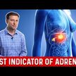 Видео обзор на Поддержка надпочечников, Adrenal & Cortisol Support, 60 капсу