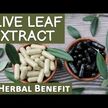 Відео огляд на Gaia Herbs, Olive Leaf, Оливкове листя, 30 мл