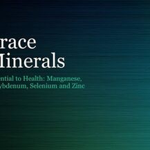 Thorne, Микроэлементы, Trace Minerals 90, 90 капсул