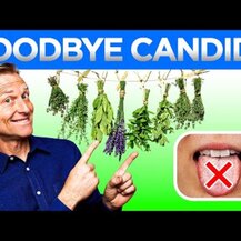 Healths Harmony, Candida Complex