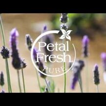 Petal Fresh, Pure Anti-Frizz Shampoo Lavender, Шампунь, 475 мл