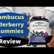 Відео огляд на Sambucus Gummies Standardized Elderberry, Чорна Бузина, 60 цукеро