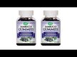 Видео обзор на Sambucus Elderberry Original Syrup, Сироп из бузины для взрослых,