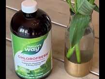 Nature's Way, Chlorofresh Chlorophyll, Хлорофіл Концентра...