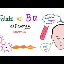 Life Extension, BioActive Folate & Vitamin B12