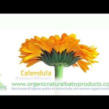 Weleda, Лосьон для тела, Baby Body Lotion Calendula, 200 мл