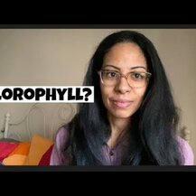 NOW Foods, Chlorophyll 100 mg