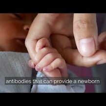 Source Naturals, Wellness Transfer Factor 125 mg