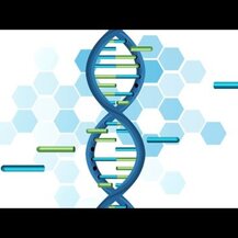 ProHealth Longevity, Uthever NMN Pro 1000 500 mg