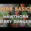 Відео огляд на Hawthorn Berry Heart Syrup, Глід, 472 мл