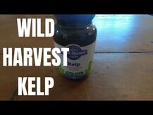 Oregon's Wild Harvest, Ламинария, Kelp, 90 капсул