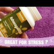 Відео огляд на Jarrow Formulas, Ashwagandha 300 mg, Ашваганда 300 мг, 120 капсул