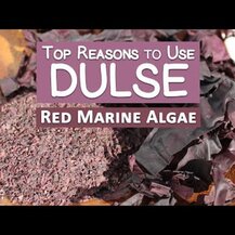 Vitamin Sea, Водоросли Дульсе, Dulse Flakes, 114 г
