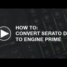 Transfer Point, Beta 1.3 D Glucan 500 mg