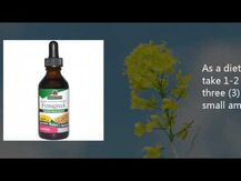 Dandelion Root Liquid Extract Low Alcohol, Кульбаба, 30 мл