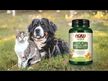 Відео огляд на NOW, Pets Joint Support for Dogs/Cats, Підтримка суглобів, 90 таб