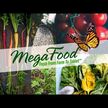 Відео огляд на MegaFood, One Daily, Мультивітаміни, 90 таблеток