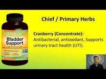 Crystal Star, Поддержка мочевого пузыря, Bladder Strength, 60 ...