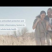 Life Extension, Pycnogenol French Maritime Pine Bark Extract 100 mg