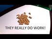Відео огляд на Dandelion Root 525 mg, Корінь кульбаби 525 мг, 180 капсул