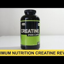 Optimum Nutrition, Micronized Creatine Capsules 2.5 g