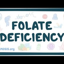 Solgar, Folate 666 MCG, Метафолін, 100 таблеток