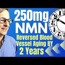 Double Wood, NMN Nicotinamide Mononucleotide 250 mg