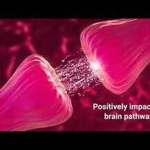 Life Extension, Calm-Mag Magnesium Acetyl Taurinate