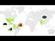 Видео обзор на Черный тмин, Daily Energy and Immunity with Black Seed, 60 таблет